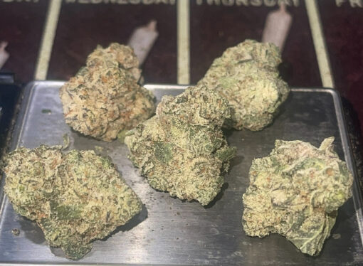 LIME GREEN SKUNK 8GRAMS🏝️🔥SUMMER SALE🏝️🔥SATIVA 32%THC SMALLER NUGS🔥🔥EXOTICS