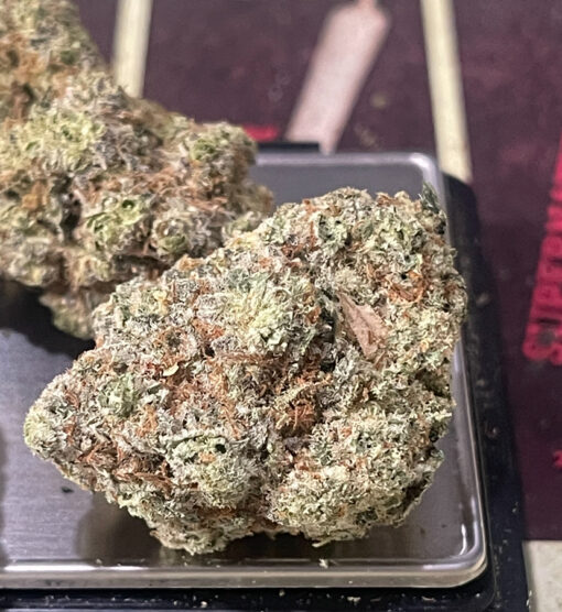 TROPICAL JACK HERRER 28grams OZ ON SALE 37%THC SATIVA 🏆🔥🏆🔥