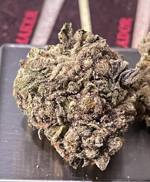 CHERRYLATO🍒7grams QUARTER HYBRID 26%THC 🏝️🔥 SALE🏝️🔥