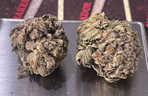 CHERRYLATO🍒7grams QUARTER HYBRID 26%THC 🏝️🔥 SALE🏝️🔥