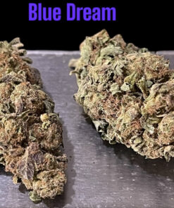 BLUE DREAM 7grams  QUARTER ON SALE 27%THC SATIVA 🔥🔥