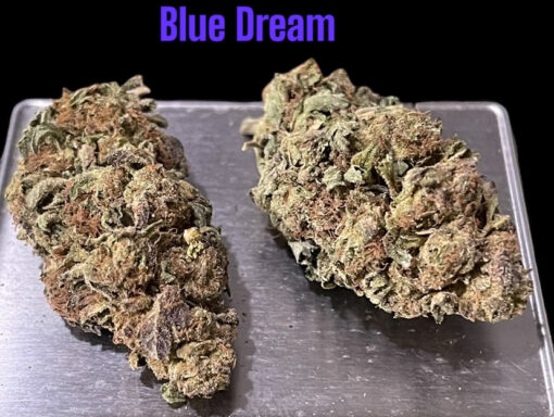 BLUE DREAM 7grams  QUARTER ON SALE 28% THC SATIVA 🔥🔥 NEW BATCH