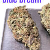 BLUE DREAM 7grams  QUARTER ON SALE 28% THC SATIVA 🔥🔥 NEW BATCH