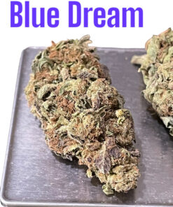 BLUE DREAM 7grams  QUARTER ON SALE 27%THC SATIVA 🔥🔥