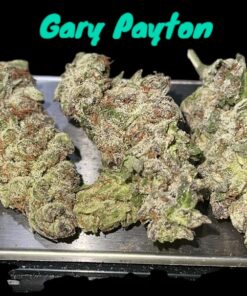 GARY PAYTON 7GRAMS QUARTER 28%THC HYBRID 🇺🇸🎆4THJULY🇺🇸🎆SALE