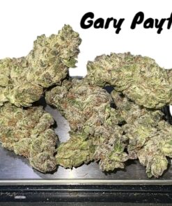 GARY PAYTON 7GRAMS QUARTER 28%THC HYBRID 🇺🇸🎆4THJULY🇺🇸🎆SALE