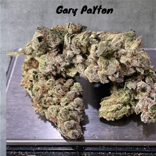 GARY PAYTON 7GRAMS QUARTER 28%THC HYBRID 🇺🇸🎆4THJULY🇺🇸🎆SALE