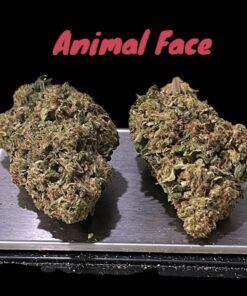 ANIMAL FACE 7GRAMS QUARTER 28%THC INDICA 🇺🇸🎆4thJULY 🇺🇸🎆 ON SALE