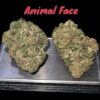 ANIMAL FACE 7GRAMS QUARTER 28%THC INDICA 🇺🇸🎆4thJULY 🇺🇸🎆 ON SALE