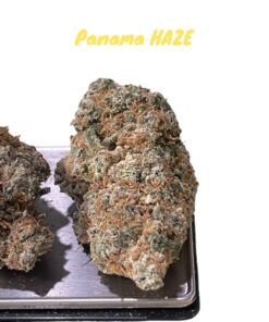 PANAMA HAZE 28GRaMS SATIVA on SALE 34%THC 🏆