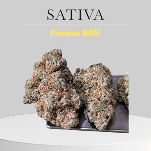 PANAMA HAZE 28GRaMS SATIVA on SALE 34%THC 🏆