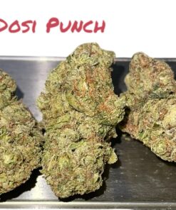 DOSI PUNCH 28GRAMS INDICA 28%THC 🥊🥊