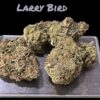 LARRY BIRD 28grams OZ HYBRID ON SALE 28%THC