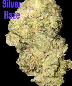 SUPER SILVER HAZE 28grams OZ ON SALE SATIVA 35%THC 🔥🔥🏆🏆