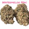 WHITE ZERBERT 28grams ON SALE 35%THC INDICA On SALE 🔥🔥🔥EXOTICS ZAZA🔥🔥