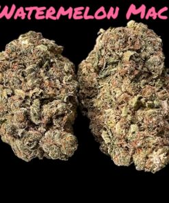 WATERMELON MAC 🍉28grams OZ ON SALE 25%THC INDICA 🔥🔥