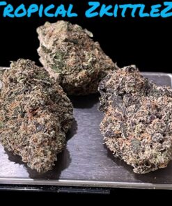 TROPICAL ZKITTLEZ  4GRAM BAGS 🏝️SUMMER SALE 🔥🏝️ 31%THC INDICA