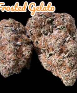 FROSTED GELATO 4GRAMS HYBRID 🏝️SUMMER SALE🏝️ 🔥31%THC