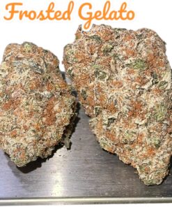 FROSTED GELATO 4GRAMS HYBRID 🏝️SUMMER SALE🏝️ 🔥31%THC