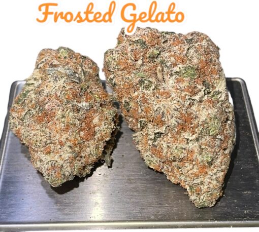 FROSTED GELATO 4GRAMS HYBRID 🏝️SUMMER SALE🏝️ 🔥31%THC