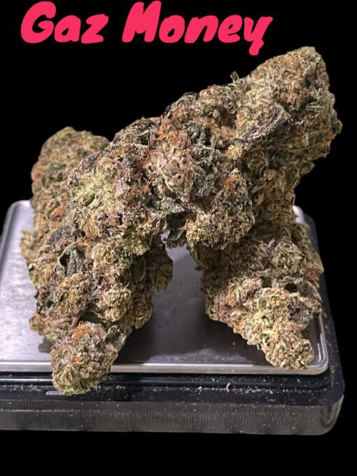 GAZ MONEY 3.5grams 🔥🔥INDICA 34%THC (DNA GENETICS)