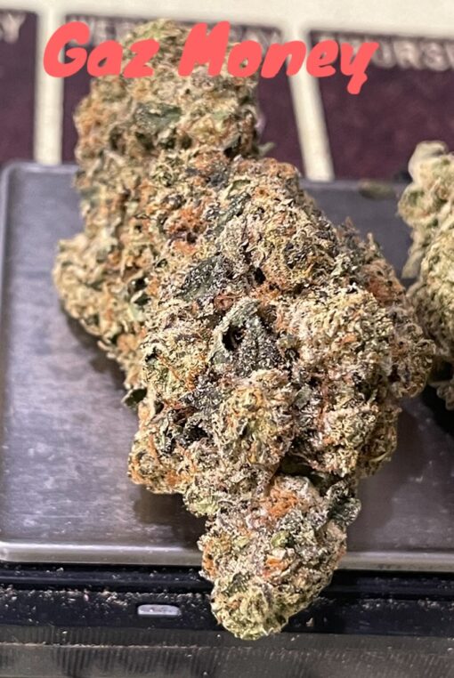 GAZ MONEY 3.5grams 🔥🔥INDICA 34%THC (DNA GENETICS)