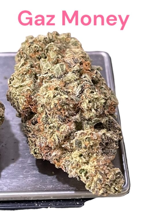 GAZ MONEY 3.5grams 🔥🔥INDICA 34%THC (DNA GENETICS)