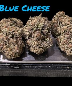 BLUE CHEESE 28g INDICA OZ ON SALE 🔥🔥27%THC