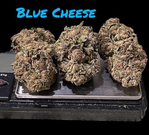 BLUE CHEESE 28g INDICA OZ ON SALE 🔥🔥27%THC