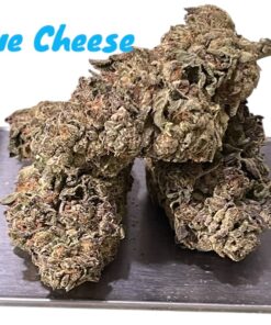 BLUE CHEESE 28g INDICA OZ ON SALE 🔥🔥27%THC