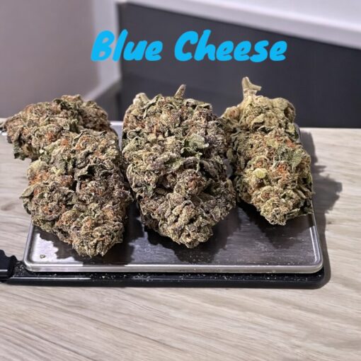BLUE CHEESE 28g INDICA OZ ON SALE 🔥🔥27%THC
