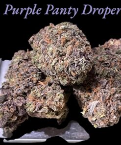 PURPLE  PANTY DROPPER 4GRAM BAGS 🏝️SUMMER SALE 31%THC INDICA 🔥🔥🔥