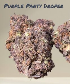 PURPLE  PANTY DROPPER 4GRAM BAGS 🏝️SUMMER SALE 31%THC INDICA 🔥🔥🔥