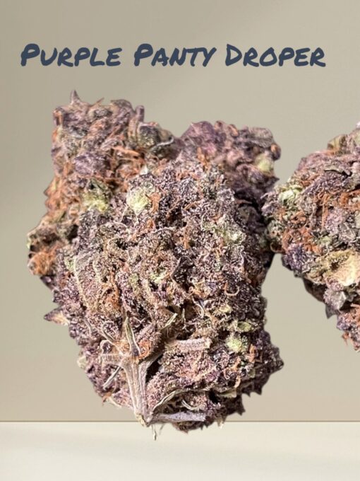 PURPLE  PANTY DROPPER 4GRAM BAGS 🏝️SUMMER SALE 31%THC INDICA 🔥🔥🔥