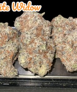 WHITE WIDOW 3.5g SATIVA 33%THC 🔥🔥🔥 INDOOR  –