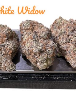 WHITE WIDOW 3.5g SATIVA 33%THC 🔥🔥🔥 INDOOR  –