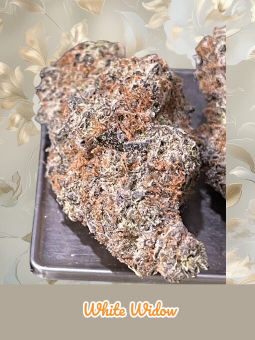 WHITE WIDOW 3.5g SATIVA 33%THC 🔥🔥🔥 INDOOR  –