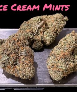 ICE CREAM MINTS🍦 4GRAM BAGS 🏝️SUMMER SALE🏝️🔥31%THC INDICA (SEED JUNKY)