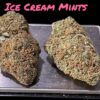 ICE CREAM MINTS🍦 4GRAM BAGS 🏝️SUMMER SALE🏝️🔥31%THC INDICA (SEED JUNKY)