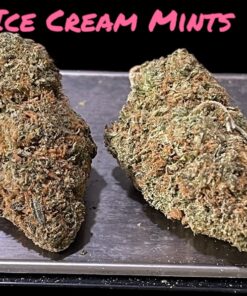 ICE CREAM MINTS🍦 4GRAM BAGS 🏝️SUMMER SALE🏝️🔥31%THC INDICA (SEED JUNKY)