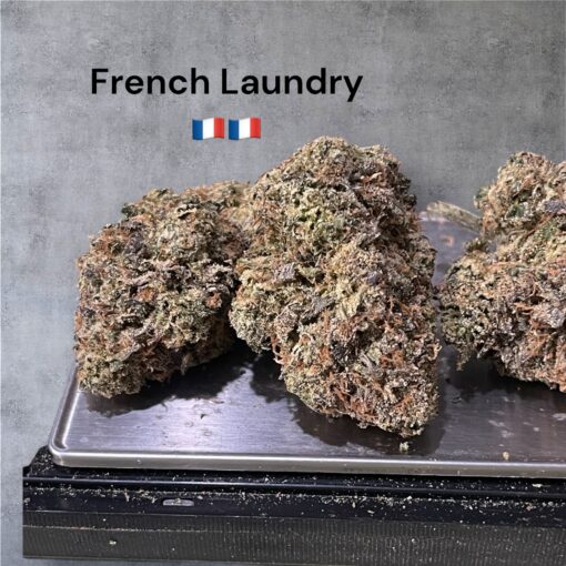 FRENCH LAUNDRY 🇫🇷3.5grams HYBRID EXOTICS 35%THC (Maven Genetics) Limited EXOTICS