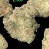 LIME GREEN SKUNK 8GRAMS🏝️🔥SUMMER SALE🏝️🔥SATIVA 32%THC SMALLER NUGS🔥🔥EXOTICS