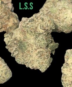 LIME GREEN SKUNK 8GRAMS🏝️🔥SUMMER SALE🏝️🔥SATIVA 32%THC SMALLER NUGS🔥🔥EXOTICS
