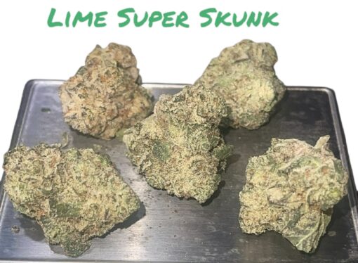 LIME GREEN SKUNK 8GRAMS🏝️🔥SUMMER SALE🏝️🔥SATIVA 32%THC SMALLER NUGS🔥🔥EXOTICS