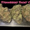 STRAWBERRY 🍓 SHORT CAKE 7GRAMS QUARTER INDICA 28% 🔥🔥