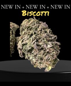 BISCOTTI 7GRAMS QUARTER 28%THC INDiCA SALE 🏝️🔥