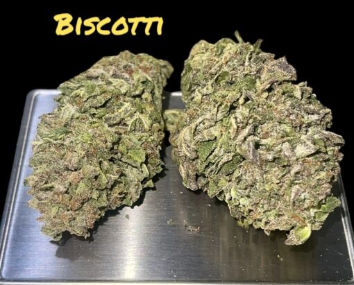 BISCOTTI 7GRAMS QUARTER 28%THC INDiCA SALE 🏝️🔥