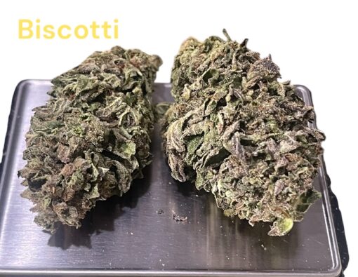 BISCOTTI 7GRAMS QUARTER 28%THC INDiCA SALE 🏝️🔥