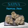 TROPICAL JACK HERRER 28grams OZ ON SALE 37%THC SATIVA 🏆🔥🏆🔥