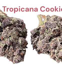 TROPICANA  COOKIES 28g OZ ON SALE SATIVA 🔥🔥120
